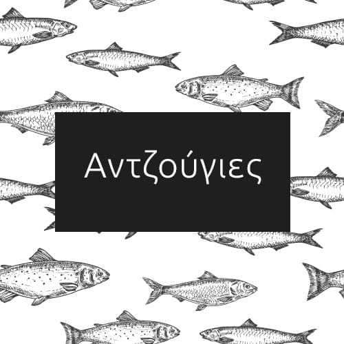 Αντζούγιες